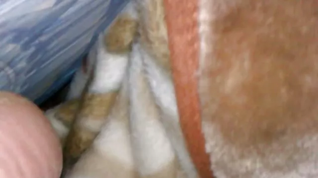 JOHNNYGOODLUCK natural busty fodido vídeo de pornô da mulher mais gostosa do mundo ao ar livre