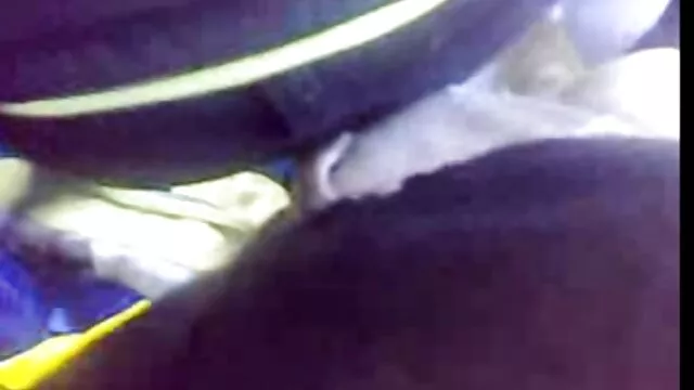 Orgia sexual jovem natural e videos de sexo com mulheres peitudas gay