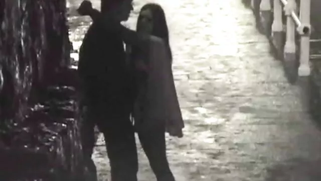 Stallion scared scene vídeo de pornô de mulher peituda